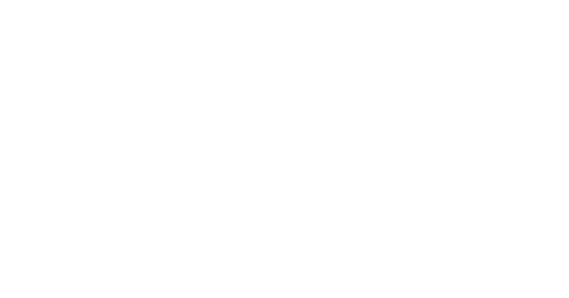 PromoSwiss
